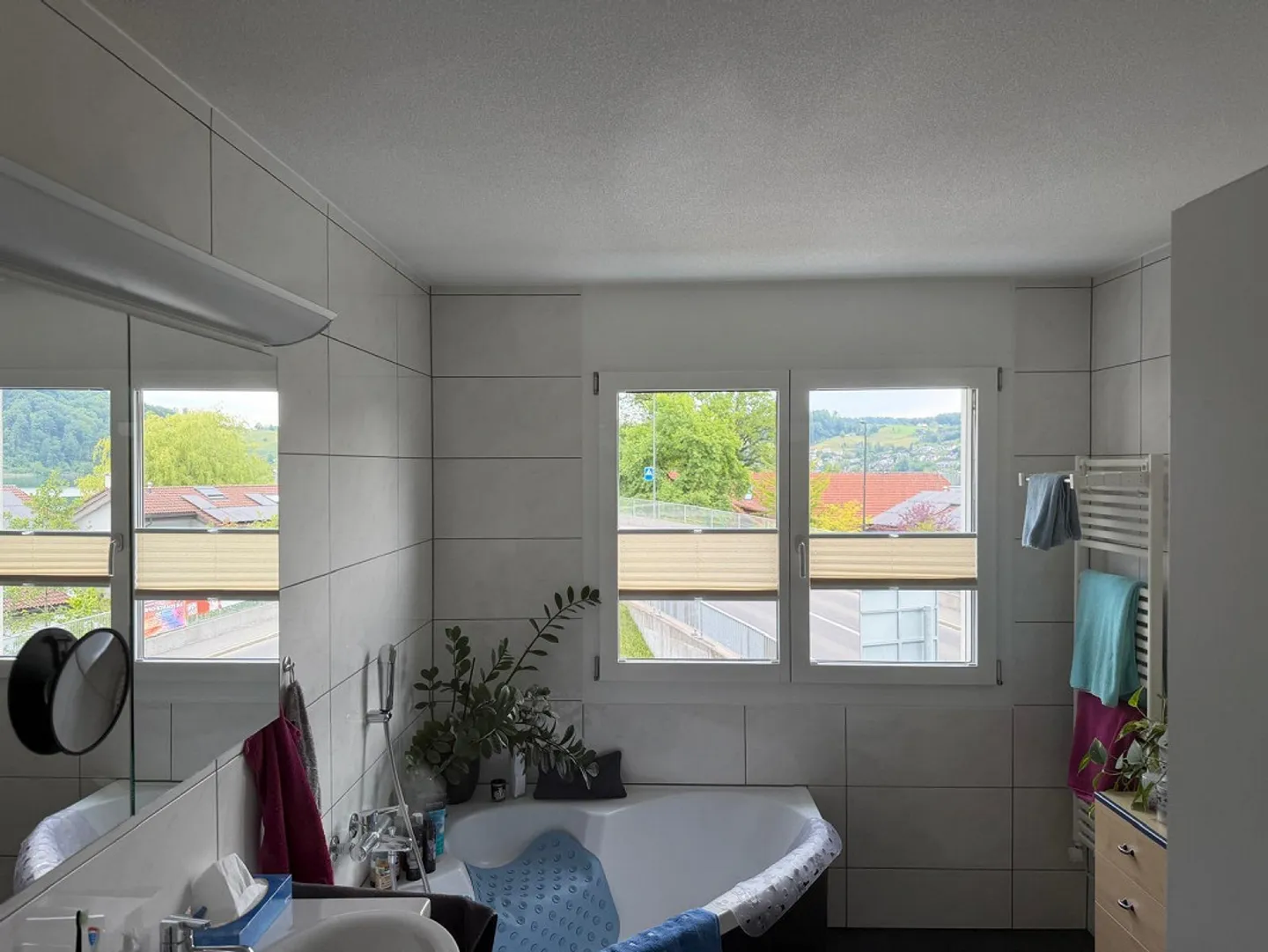 Large 5.5 Room Apartment with Beautiful Lake and Mountain View - Photo 5 of 5