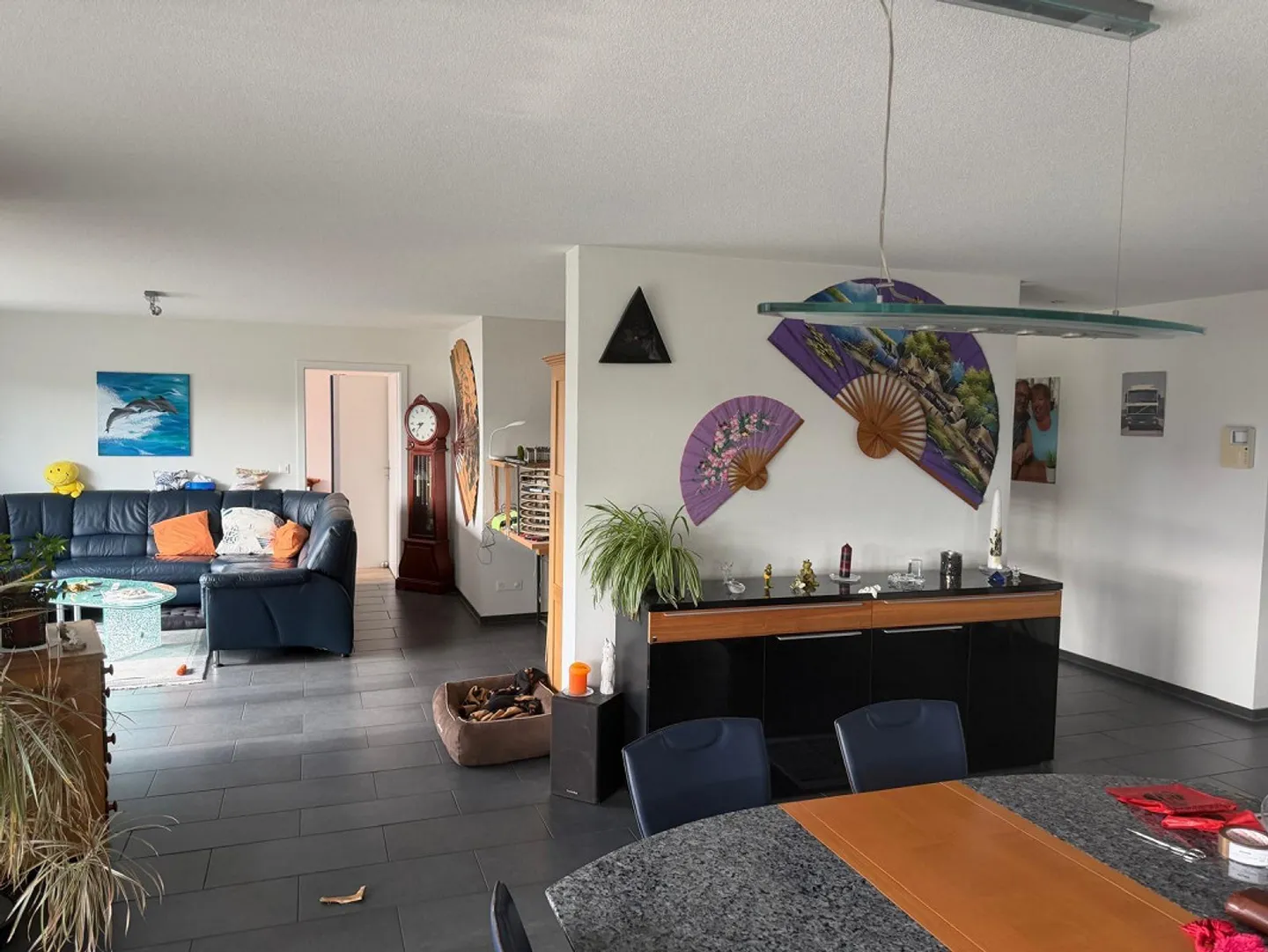 Large 5.5 Room Apartment with Beautiful Lake and Mountain View - Photo 4 of 5