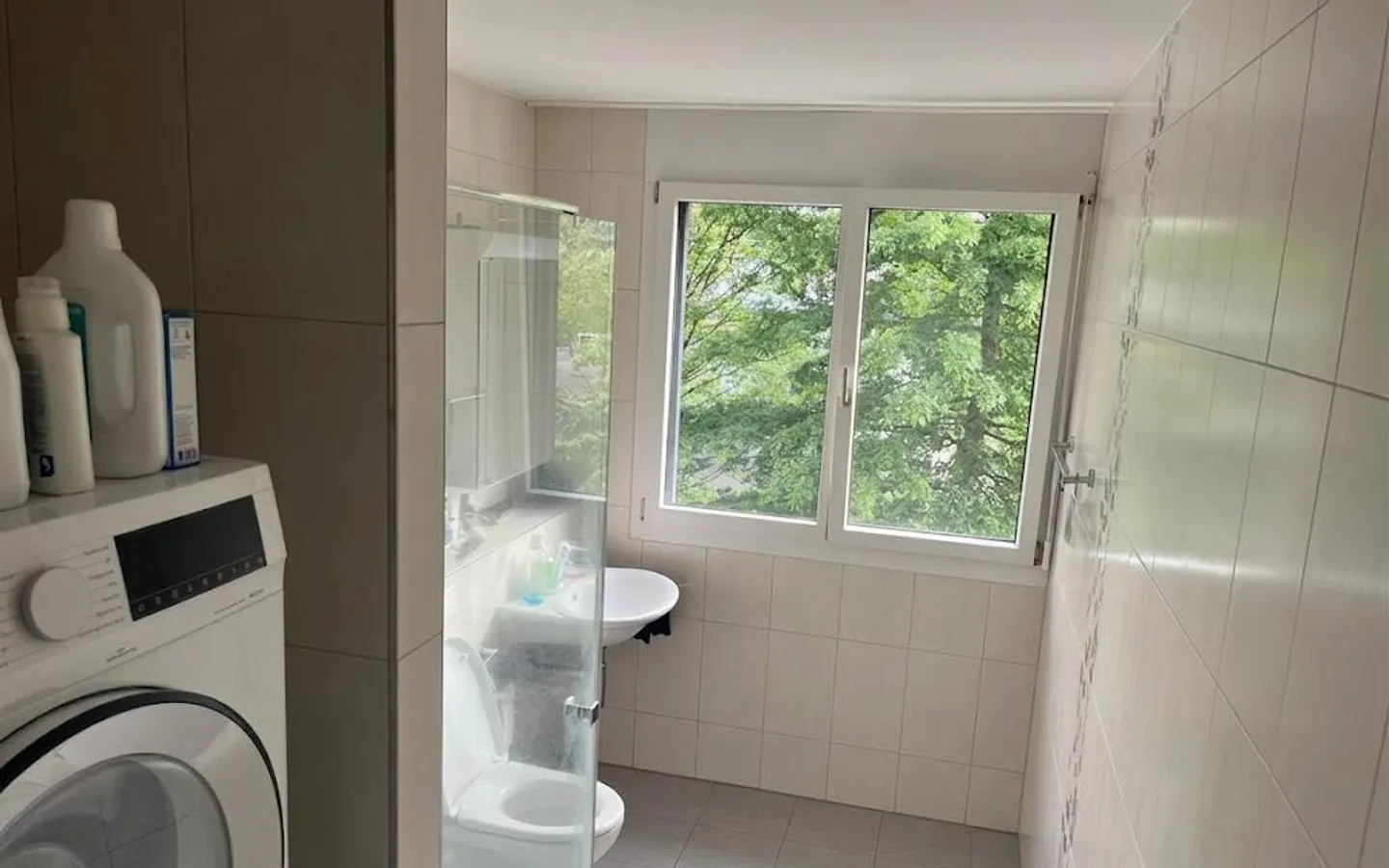 3.5 Room Apartment - Photo 6 of 10