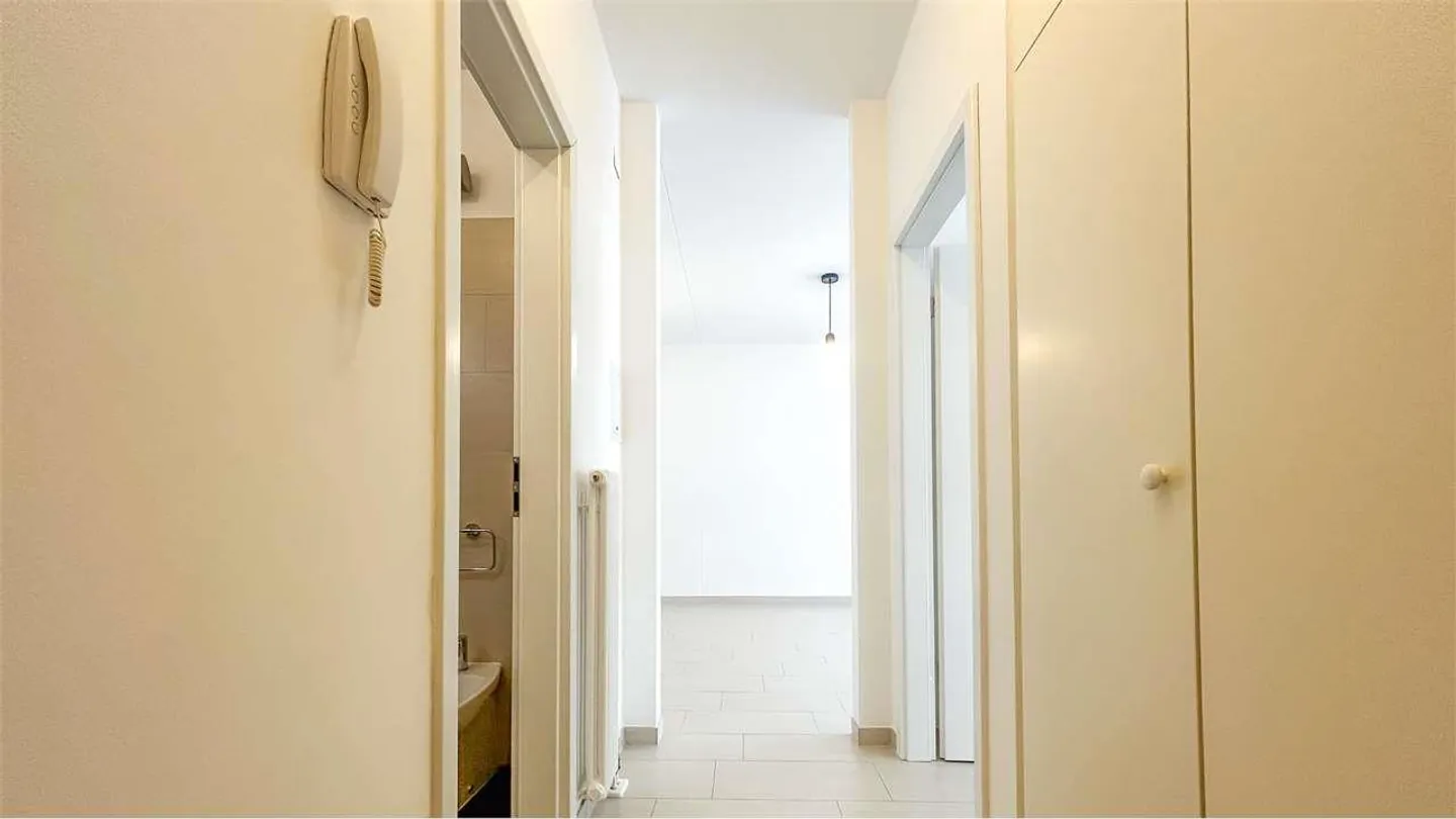 2.5 room apartment in Cassarate with fireplace and balcony - Photo 8 of 8