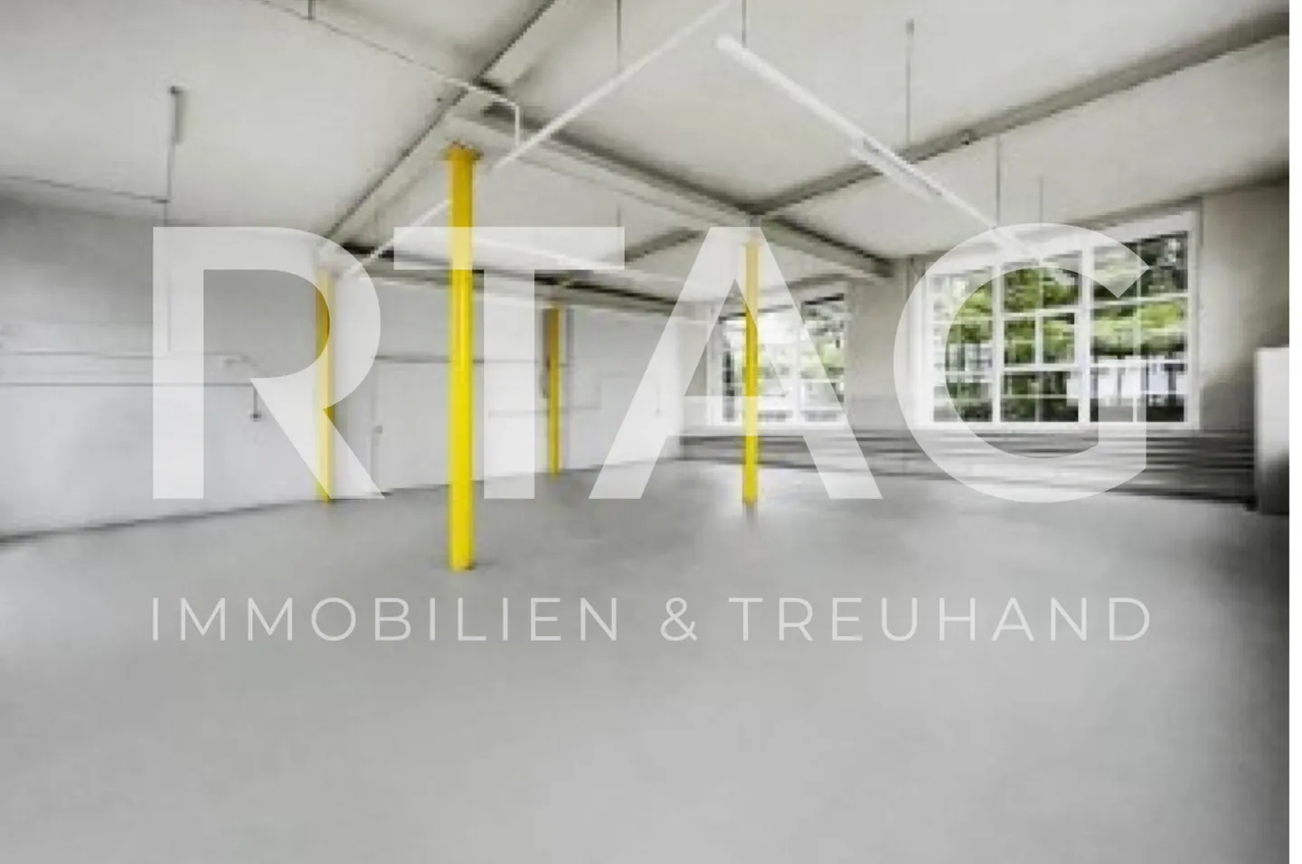 Sala commerciale - Foto 1 di 3