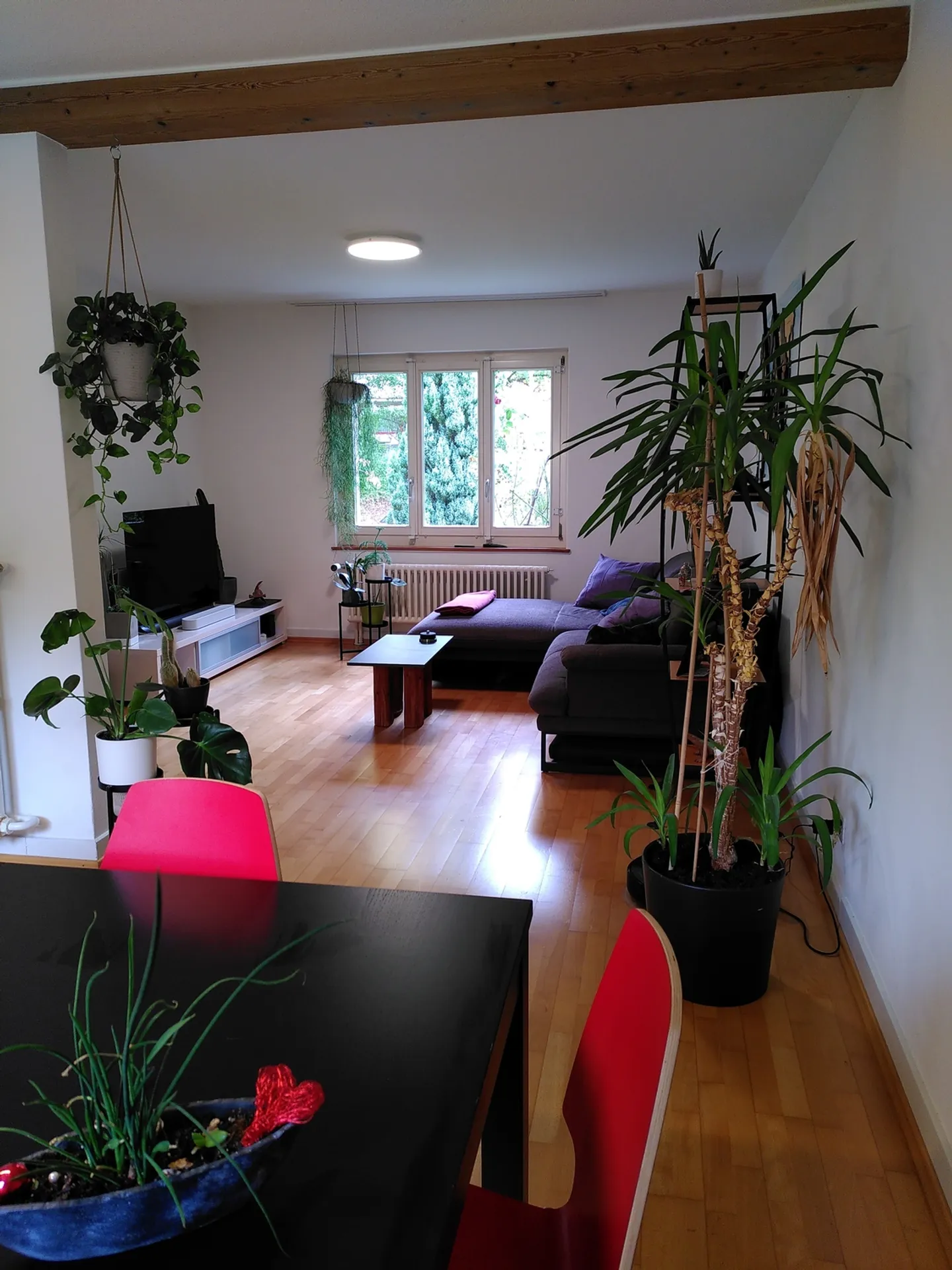 Casa singola in affitto - Foto 2 di 10