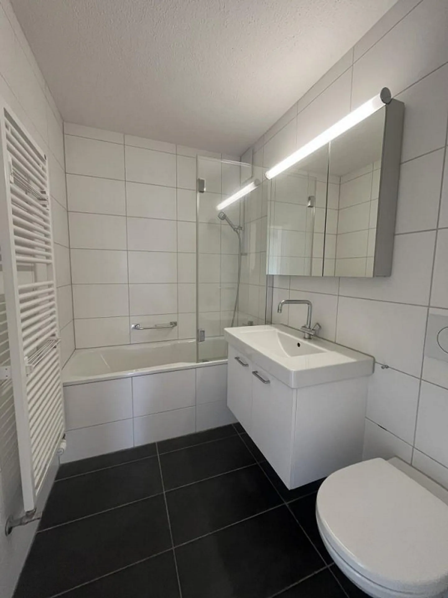 Quiet Living in Schwerzenbach - Photo 6 of 10