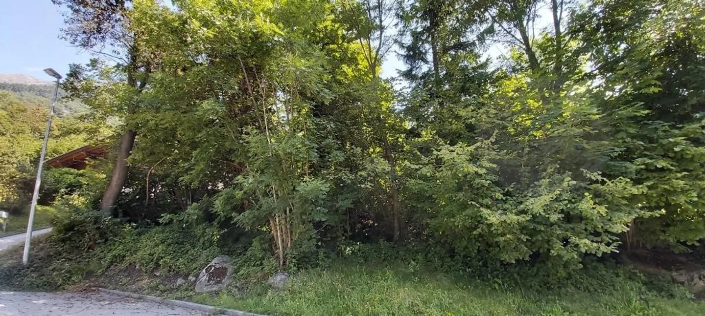 Terreno edificabile con progetto - Foto 6 di 6