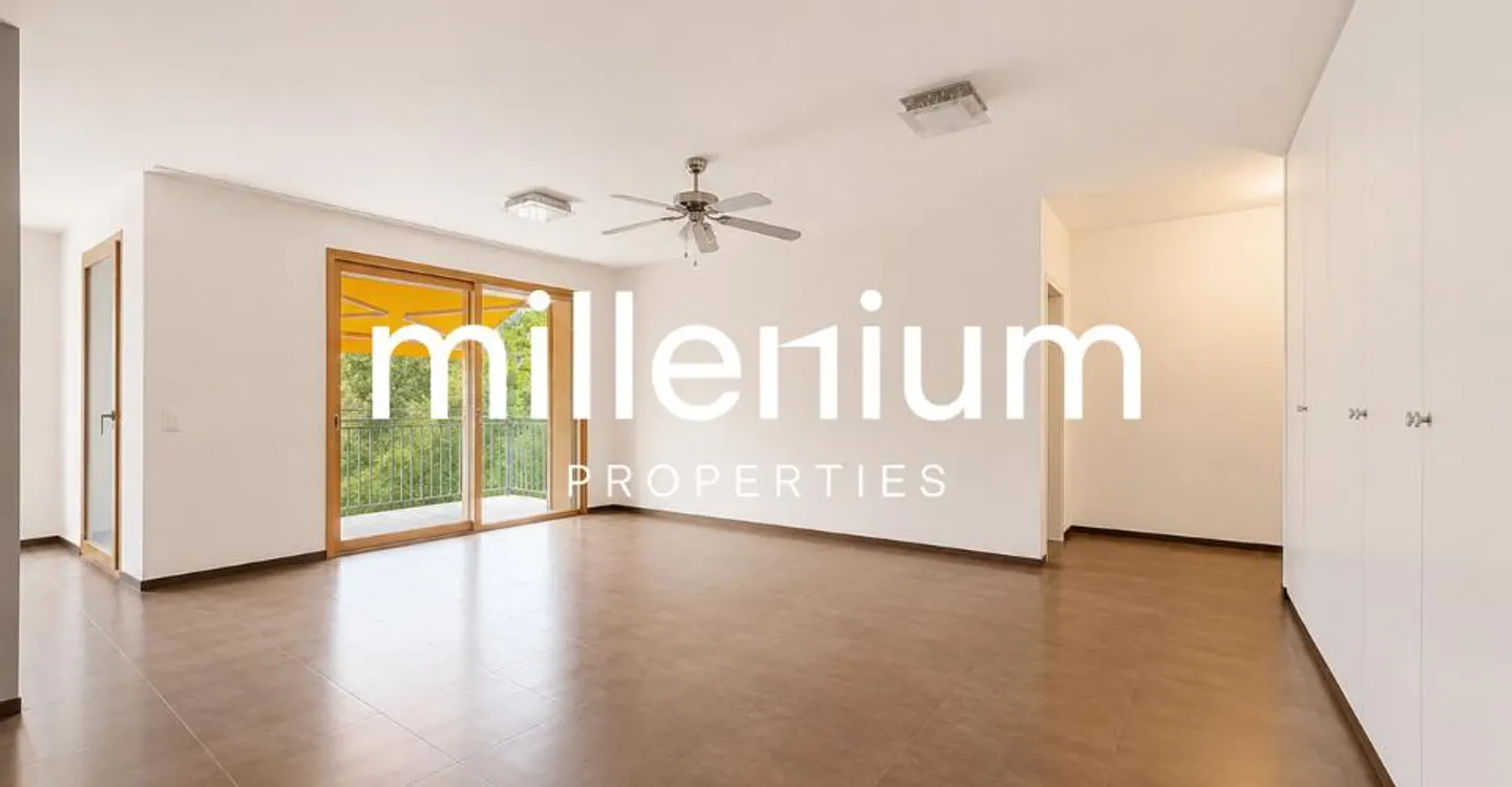Magnifico appartamento familiare con balcone a Petit-Lancy - Foto 3 di 11