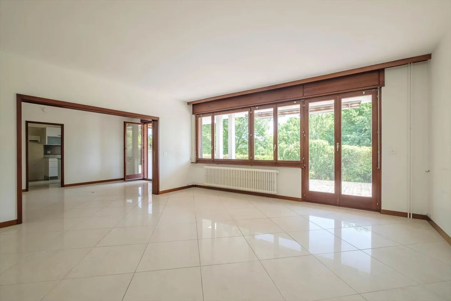 Grande villa ristrutturata con giardino alberato - Lancy - Foto 4 di 9