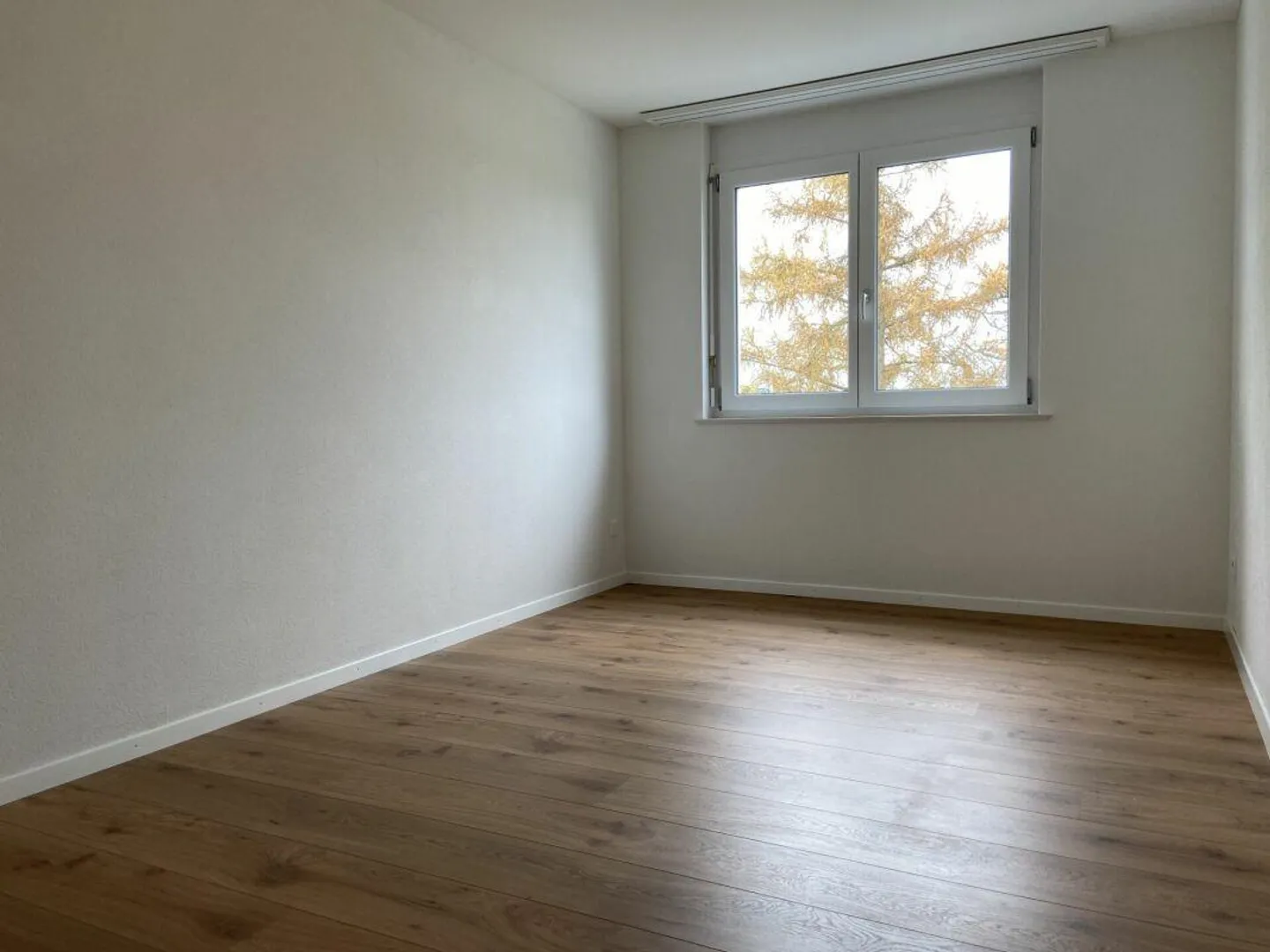 Modern 4.5 room apartment with large balcony - Photo 8 of 10