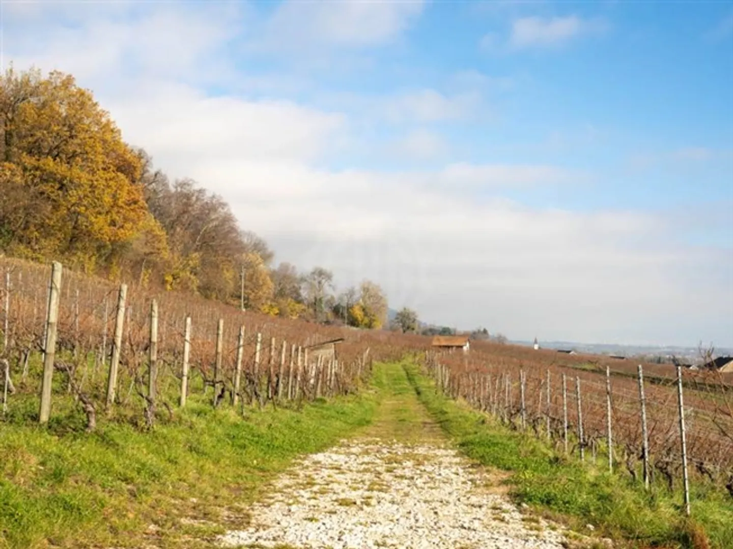 Bright Villa - Bursins - Photo 9 of 11