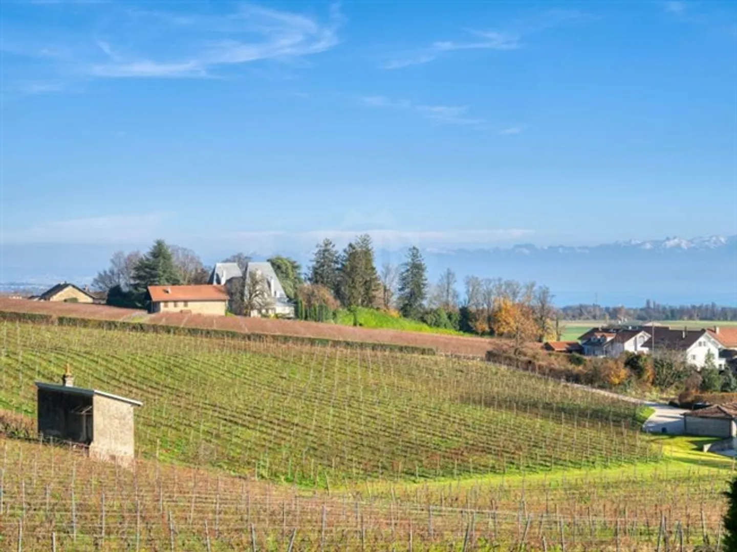 Bright Villa - Bursins - Photo 10 of 11