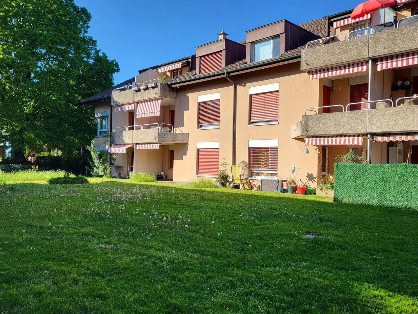 3.5-room apartment on the ground floor with terrace and lawn - Photo 1 of 13