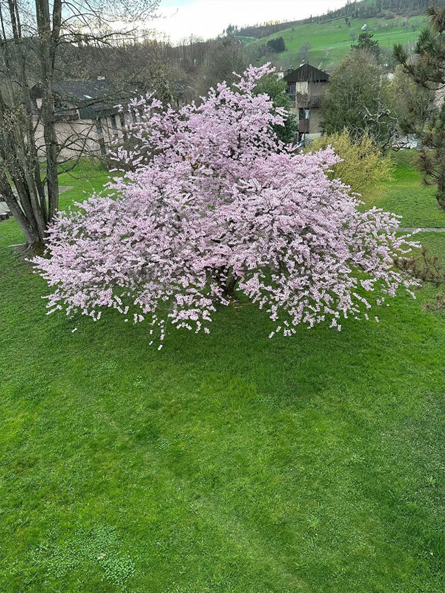 Bella appartamento di 4.5 stanze a Bubendorf - Foto 10 di 10