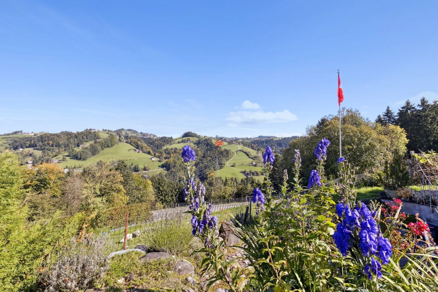 Un bijou au milieu du paysage vallonné d'Appenzell - Photo 14 sur 15