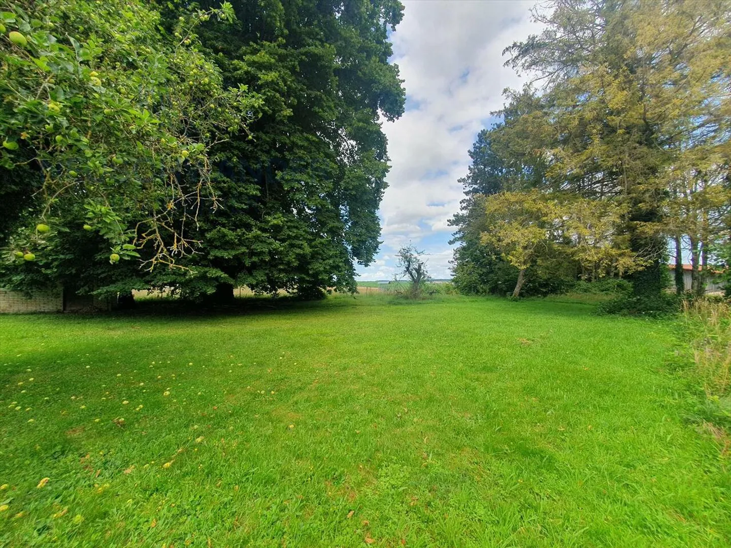 Piccola casa nella prateria da ristrutturare su un grande lotto - Foto 3 di 14