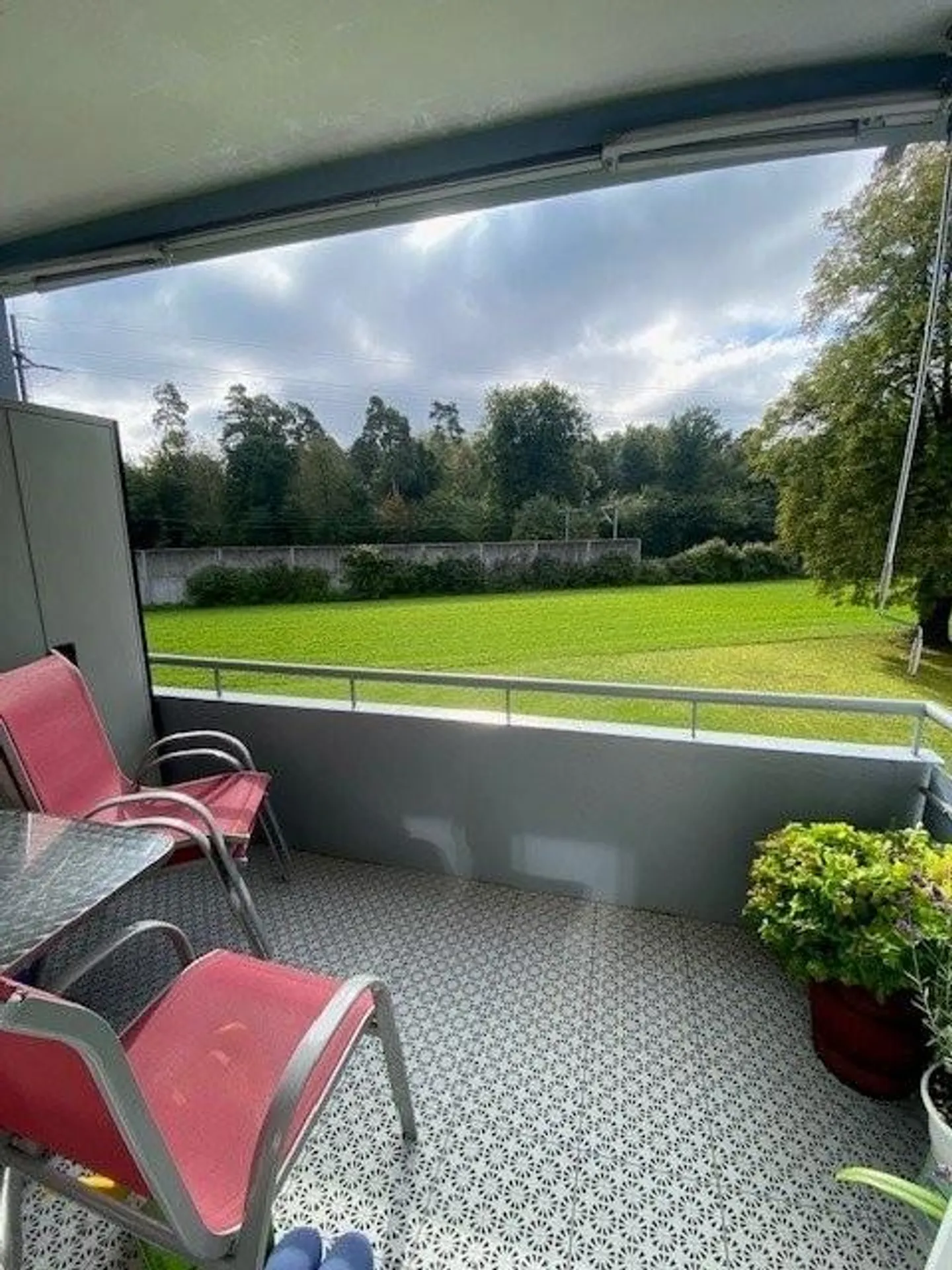 Lumineux et Amical - Photo 8 sur 9