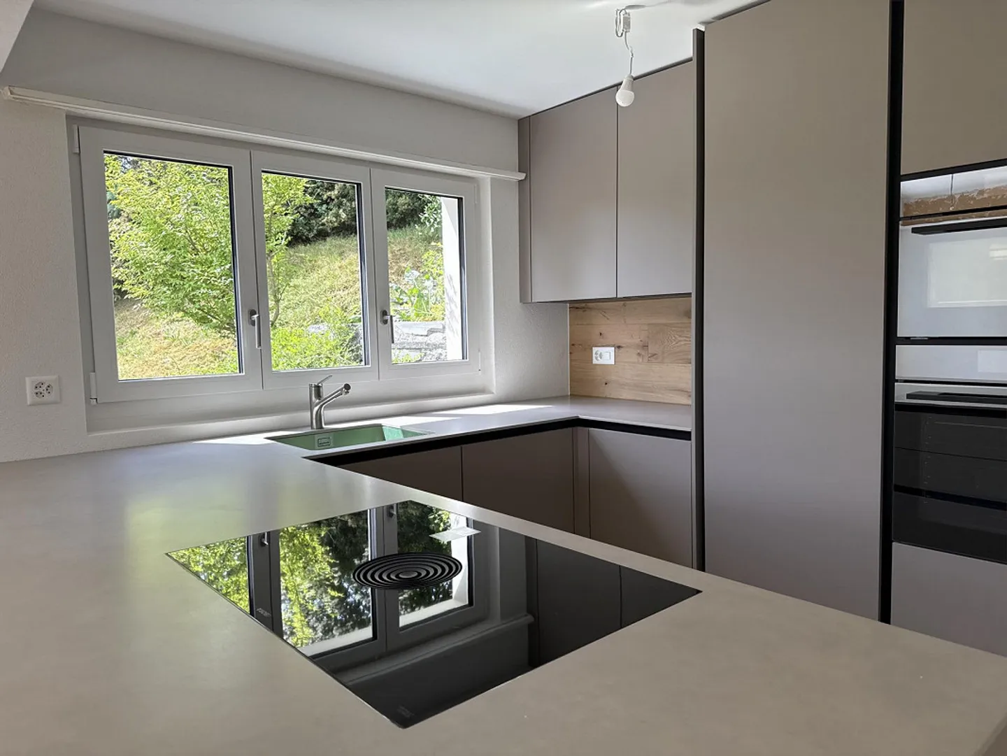 Säntisblick, Garden Paradise, Core Renovation and Expansion Reserve - Photo 7 of 30