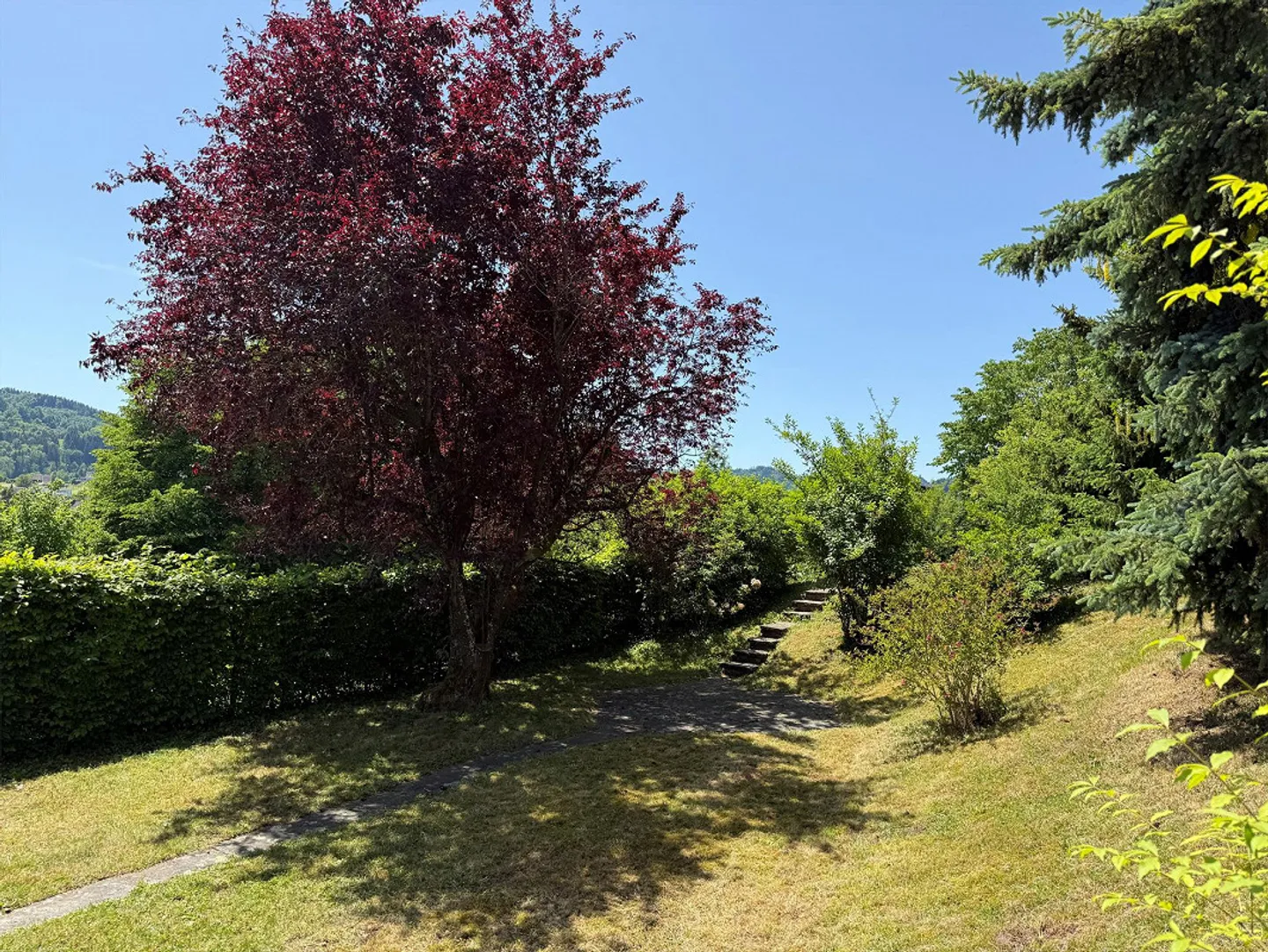 Säntisblick, Garden Paradise, Core Renovation and Expansion Reserve - Photo 15 of 30