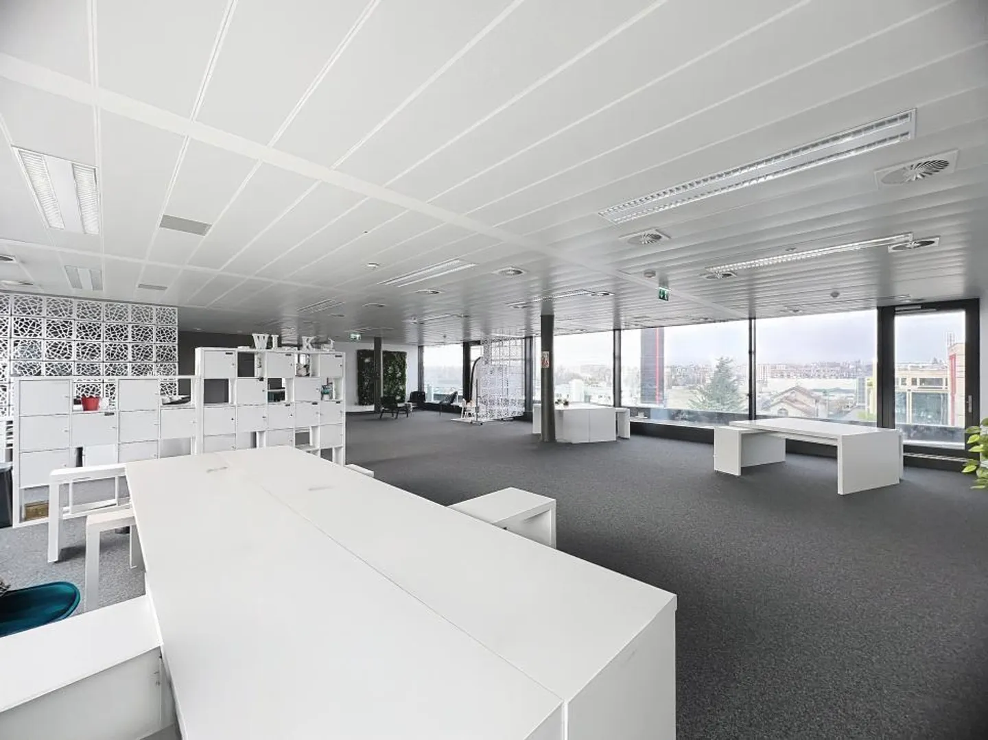 Magnifico spazio di lavoro attico di 570m2 nel cuore del Lignon - Foto 5 di 10