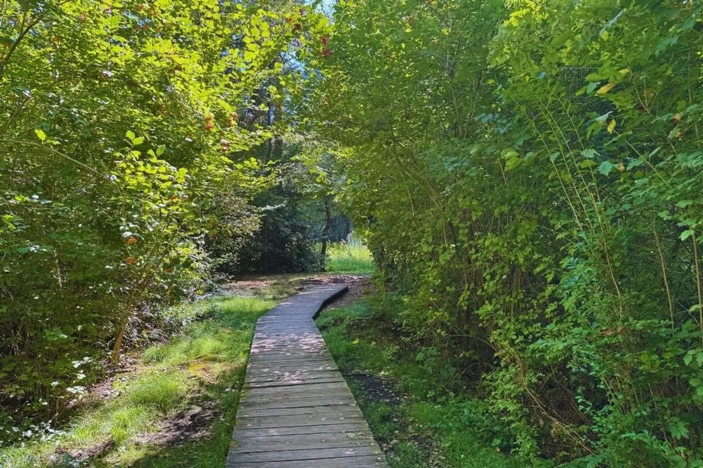Terreno edificabile esclusivo in un complesso residenziale ben curato con piscina, campo da tennis e parco - Foto 14 di 15