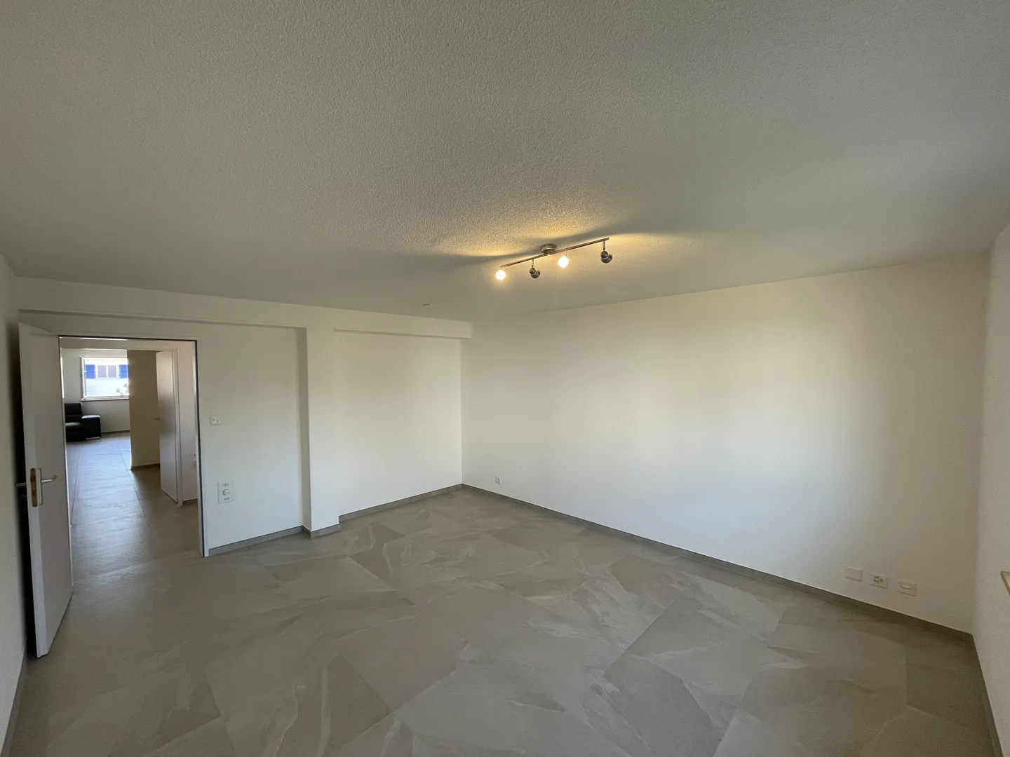 Ampio Appartamento di 4.5 Stanze - Foto 3 di 23