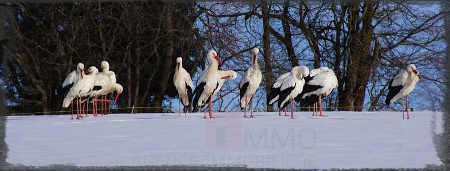 Haus 45 Zimmer - Foto 2 von 13