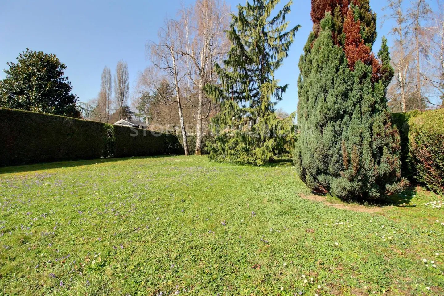 Incantevole Villa Semi-Indipendente - Foto 7 di 9