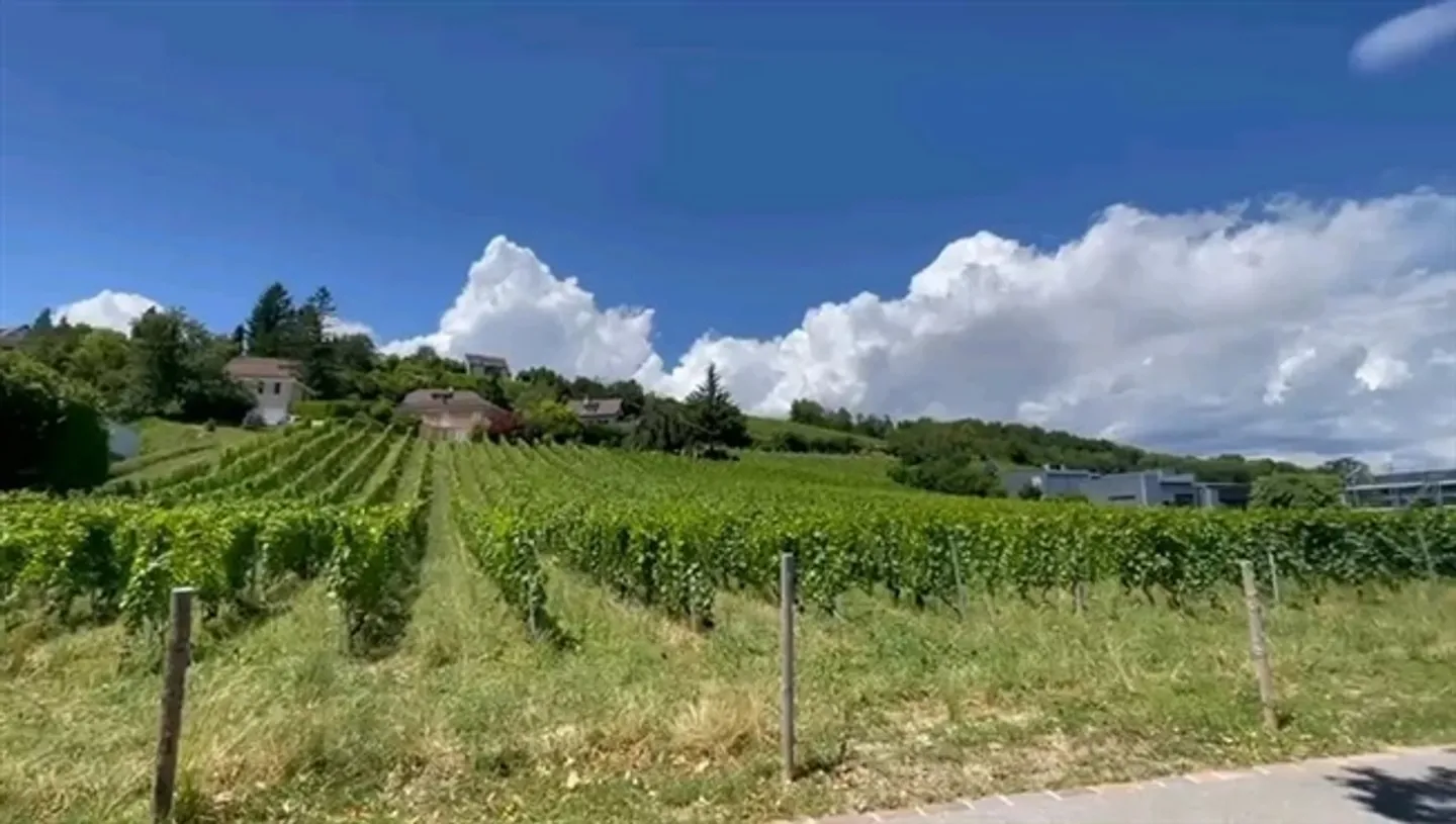 Chocolatier 10 – Box Workshop of 79 m2 in Maisonette - Photo 3 of 3