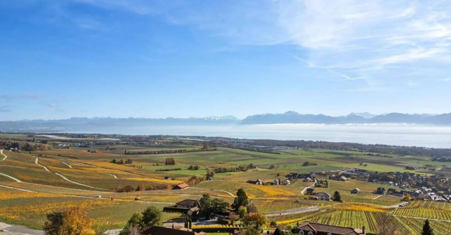 Elegante Villa mit Panorama über den Genfersee und die Alpen - Foto 2 von 13