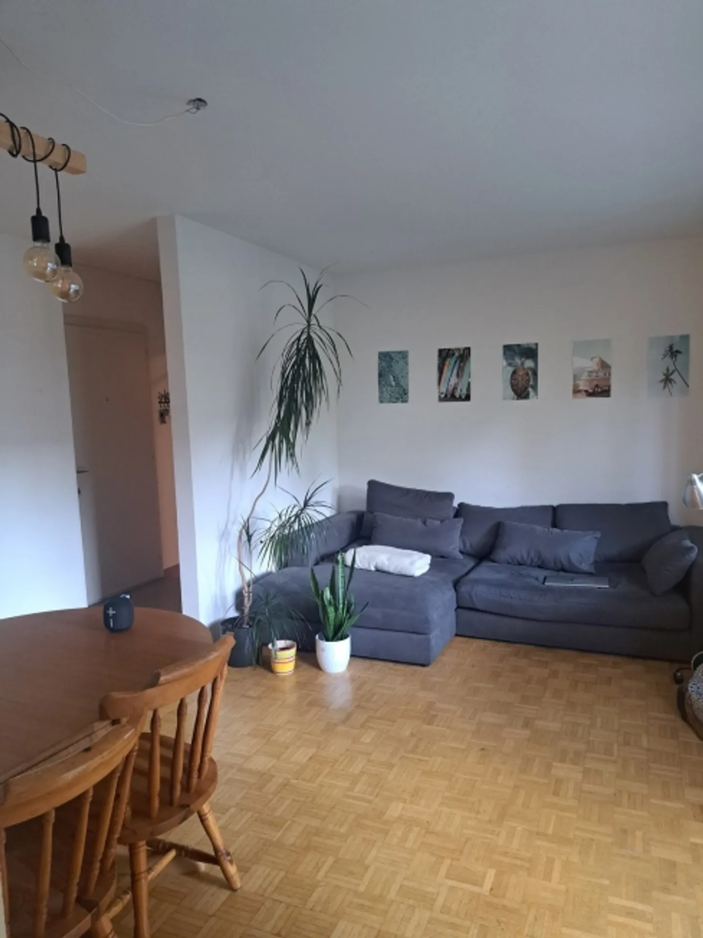 «2 ZI-WOHNUNG IN THUN (BE), MÖBLIERT, TEMPORÄR» - Foto 1 von 5