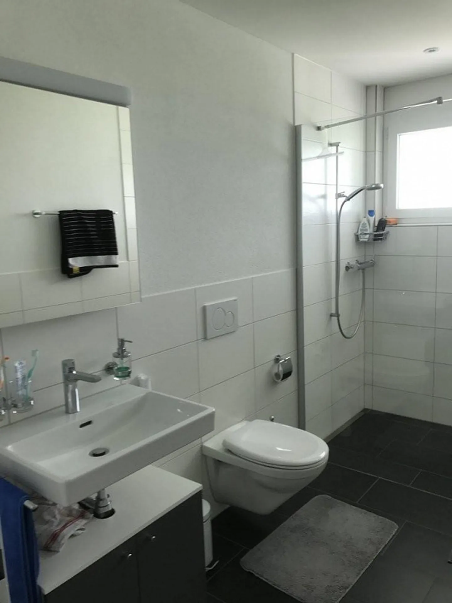 2.5 Room Apartment in Gränichen - Photo 4 of 4