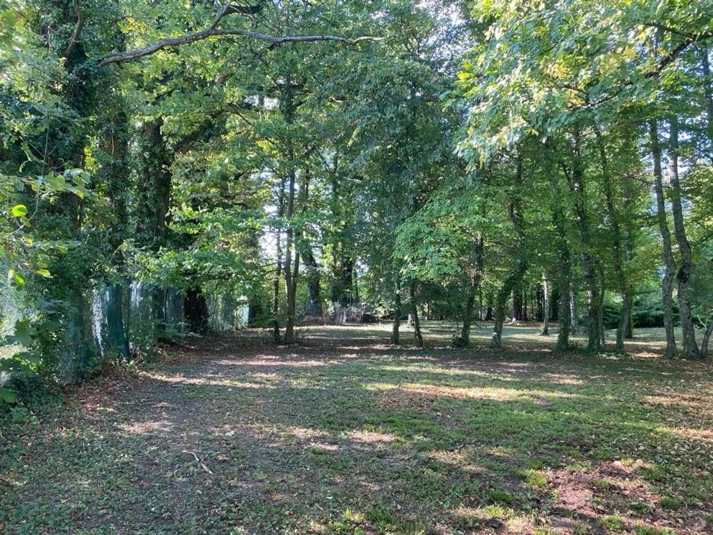 Chalet avec parc de 13'000 m2 - Photo 6 sur 6