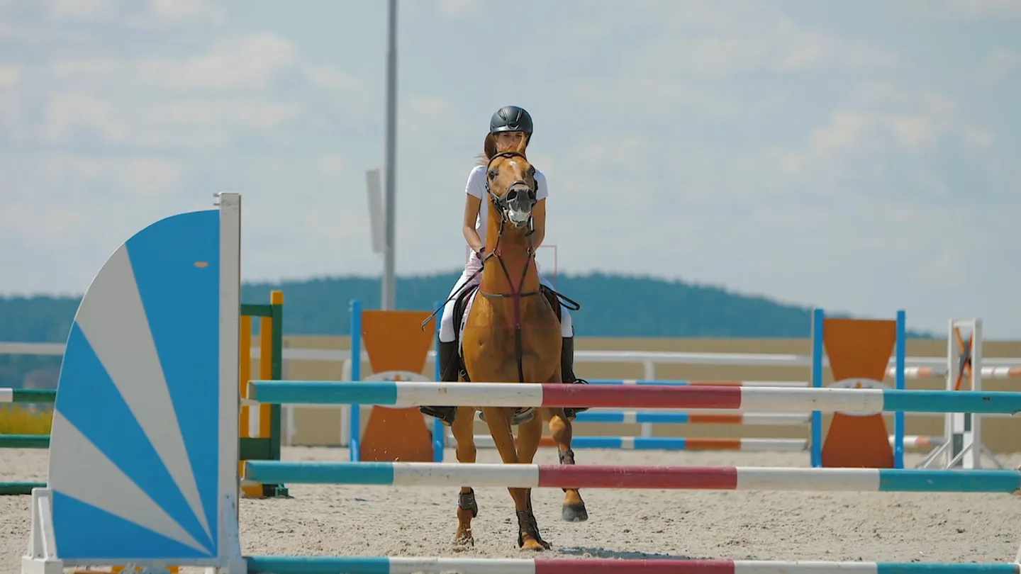 30.203 m2 Grundstück für Reitaktivitäten - Foto 2 von 7