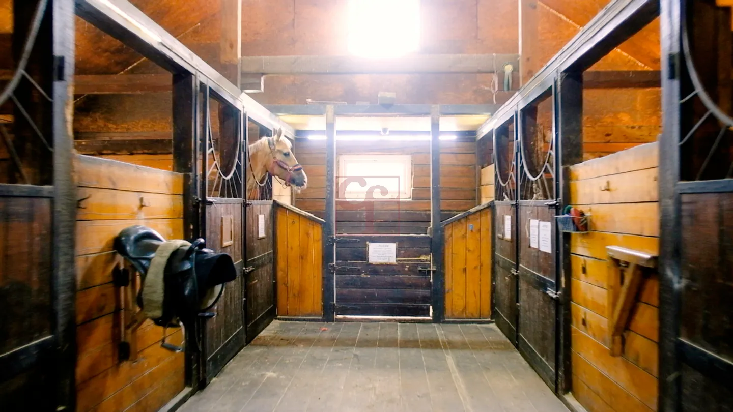 30.203 m2 Grundstück für Reitaktivitäten - Foto 4 von 7