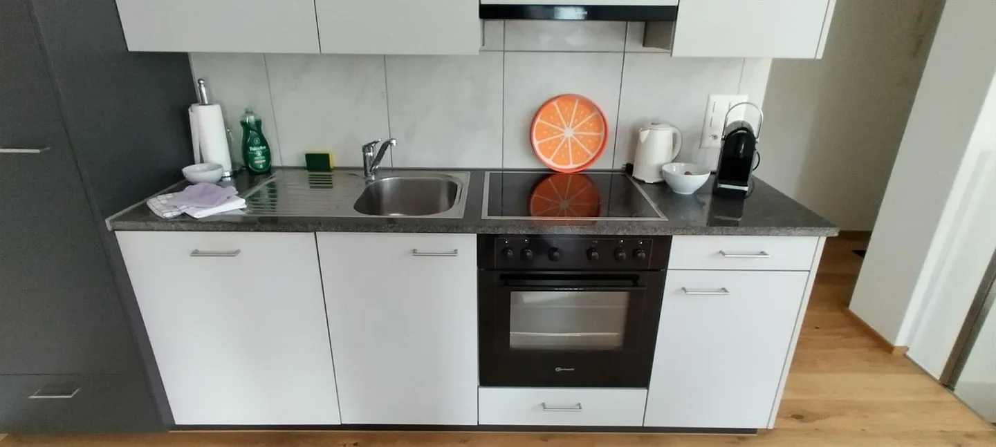 3 1/2 Room Apartment in the Center of Meiringen - Photo 10 of 16