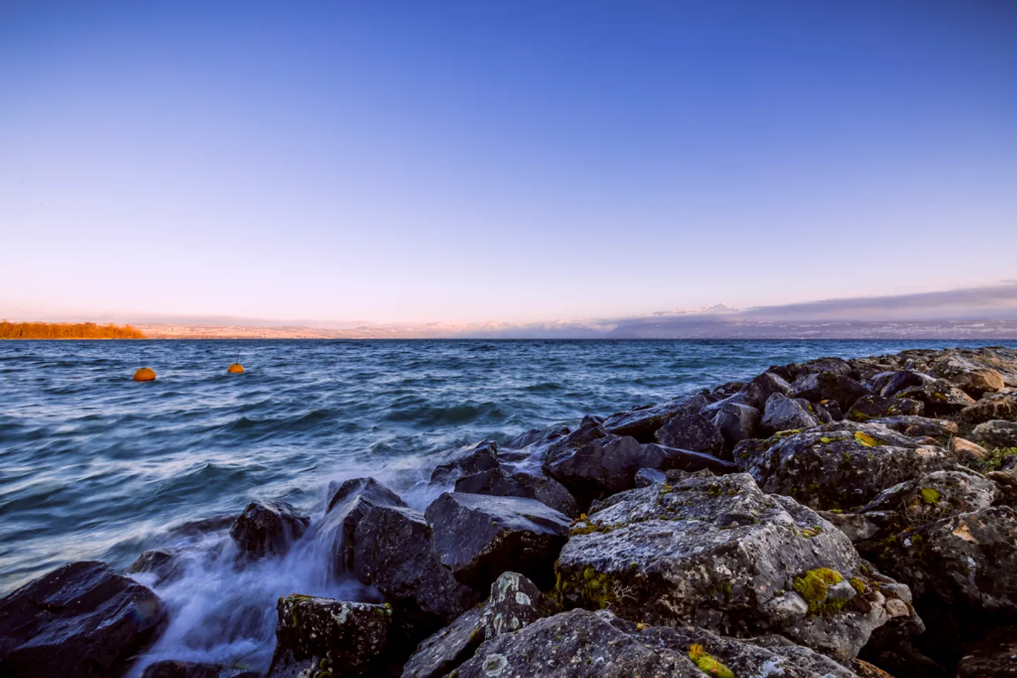 2,5-Zimmer-Wohnung - Foto 5 von 5