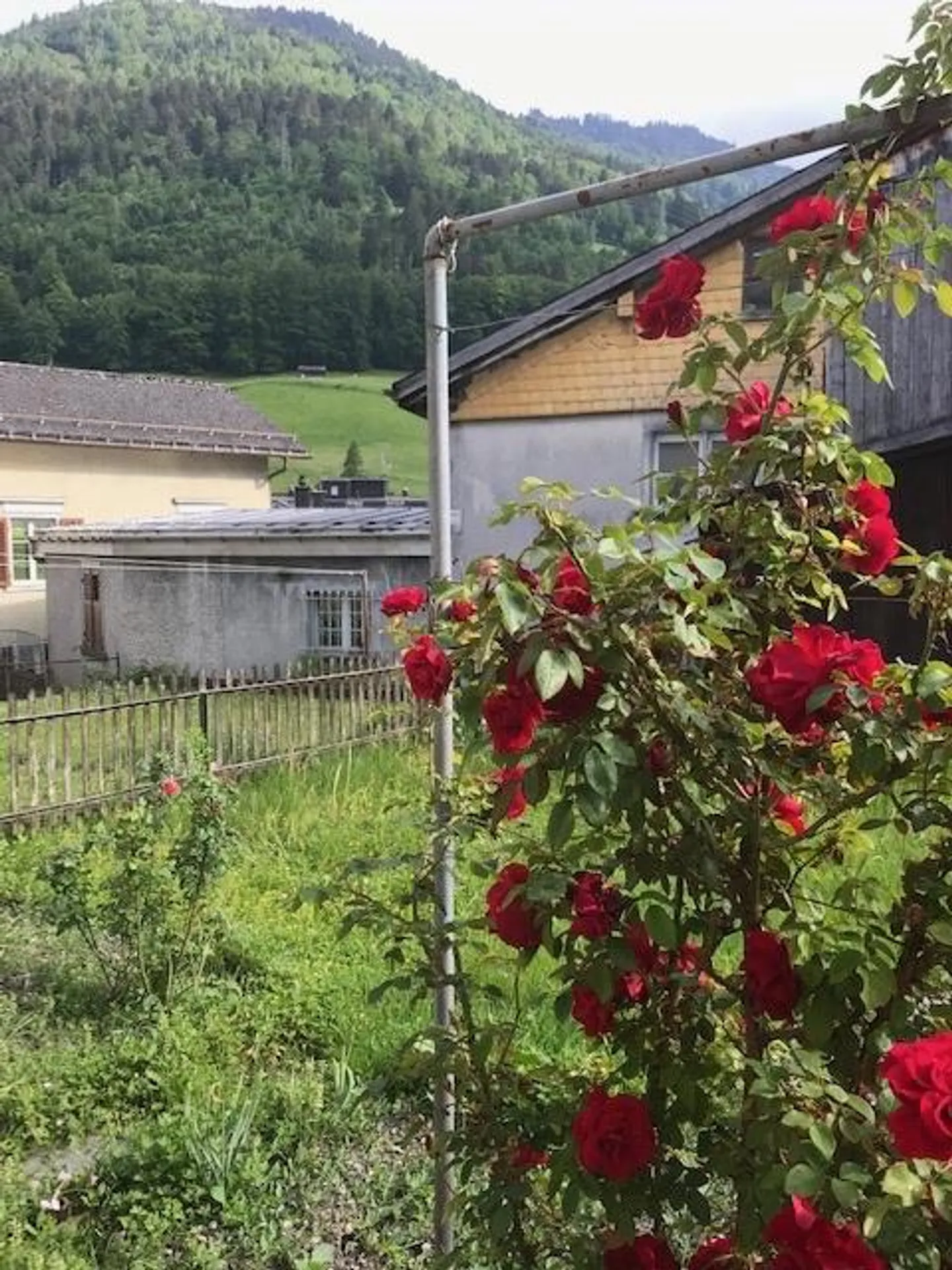 Maison jumelée accueillante avec vue sur la montagne à Schwanden - Photo 6 sur 7