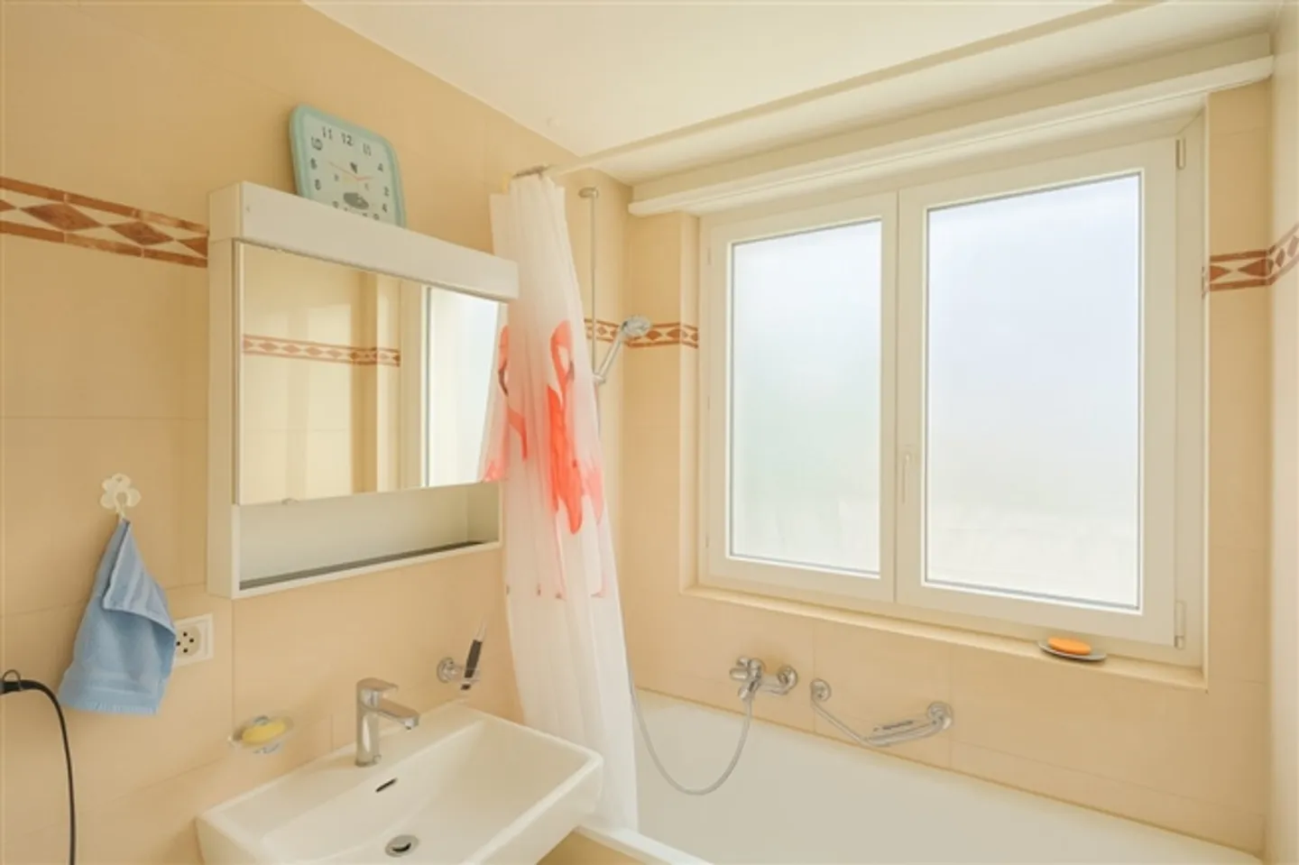 BALCON ENSOLEILLÉ AVEC VUE SUR LE UETLIBERG - Photo 5 sur 9