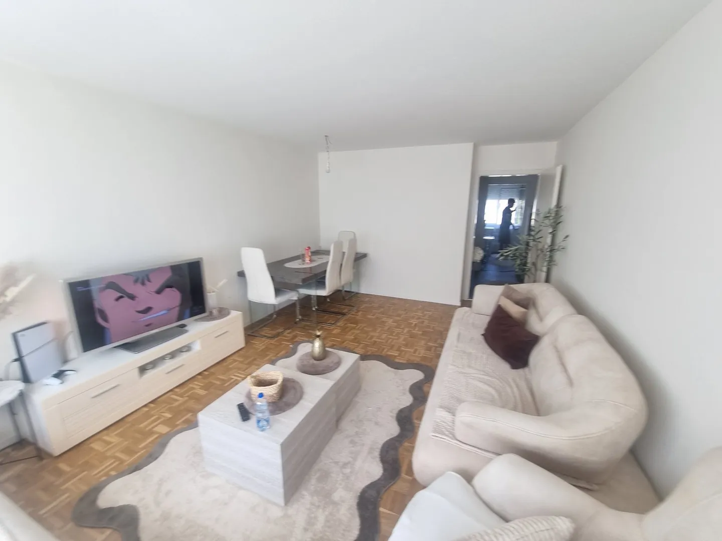 Appartement rénové avec vue sur jardin - Photo 3 sur 9
