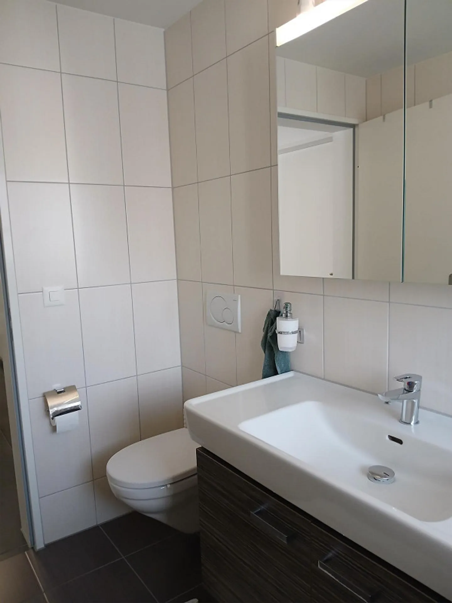 Attractive 4.5 Room Apartment Centrally Located in Sachseln - Photo 9 of 13