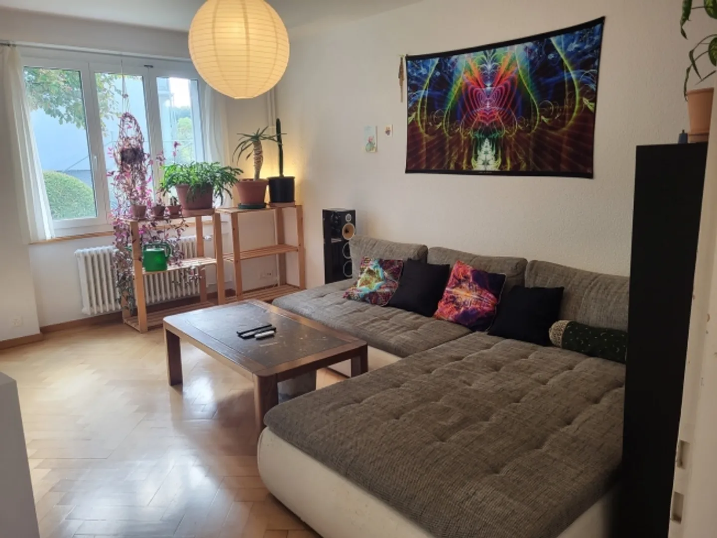 2½ ROOM APARTMENT IN BERN - FELSENAU, FURNISHED, TEMPORARY - Photo 1 of 10