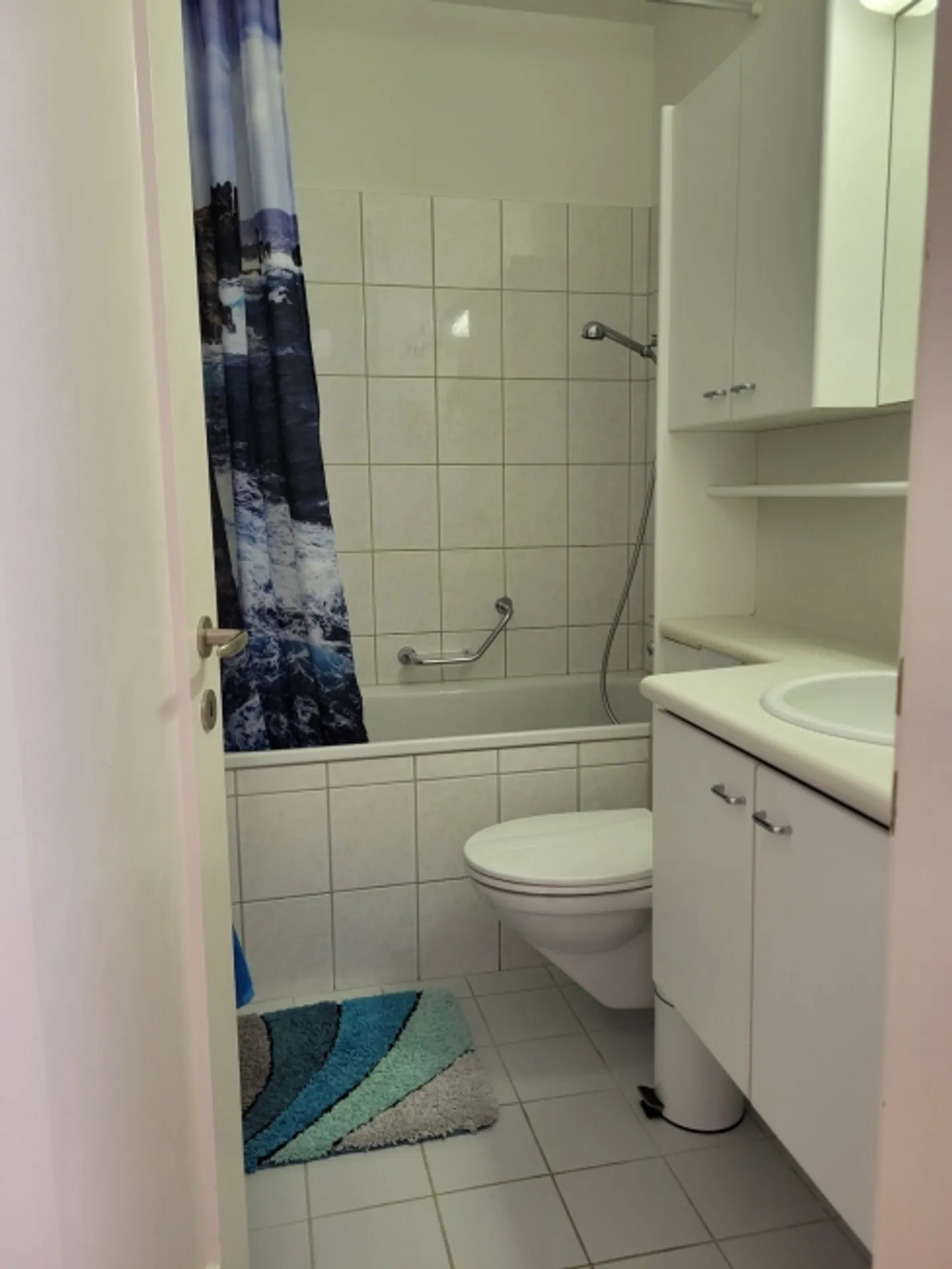 2½ ROOM APARTMENT IN BERN - FELSENAU, FURNISHED, TEMPORARY - Photo 8 of 10