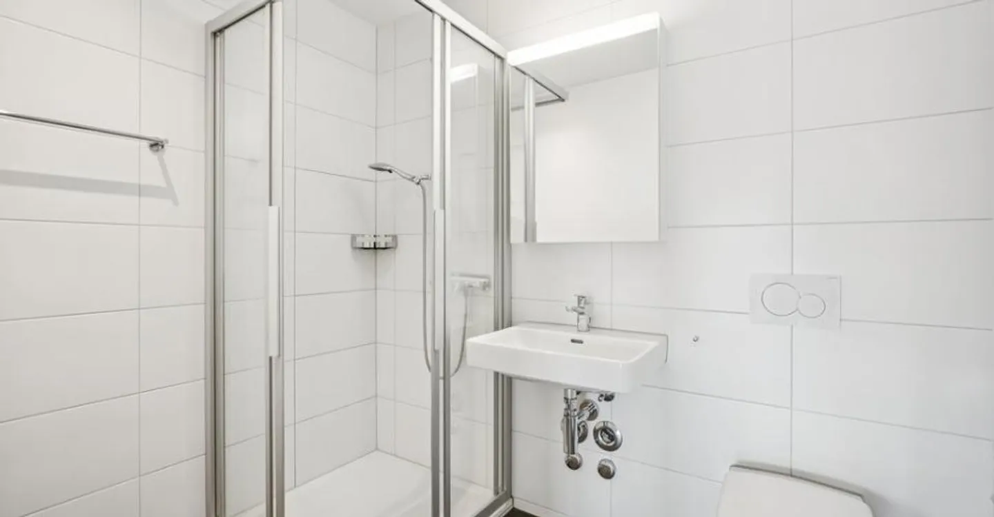 Stunning 3.5-room penthouse apartment for rent in Liestal - Photo 7 of 9