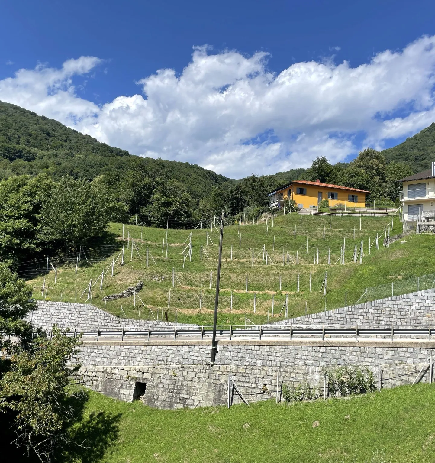 Terrain à bâtir avec vue sur le Monte Tamaro - Photo 2 sur 6