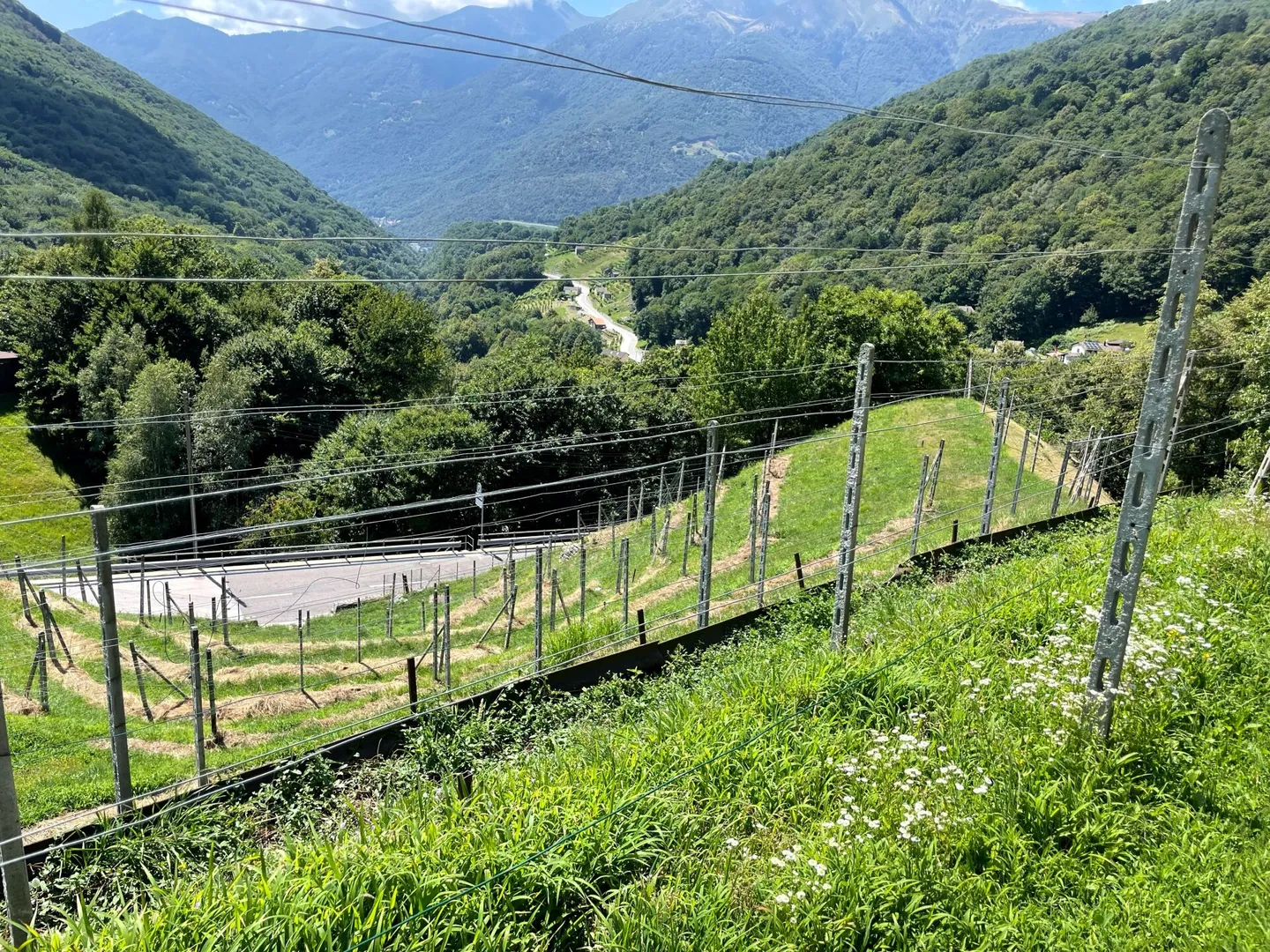 Terrain à bâtir avec vue sur le Monte Tamaro - Photo 4 sur 6