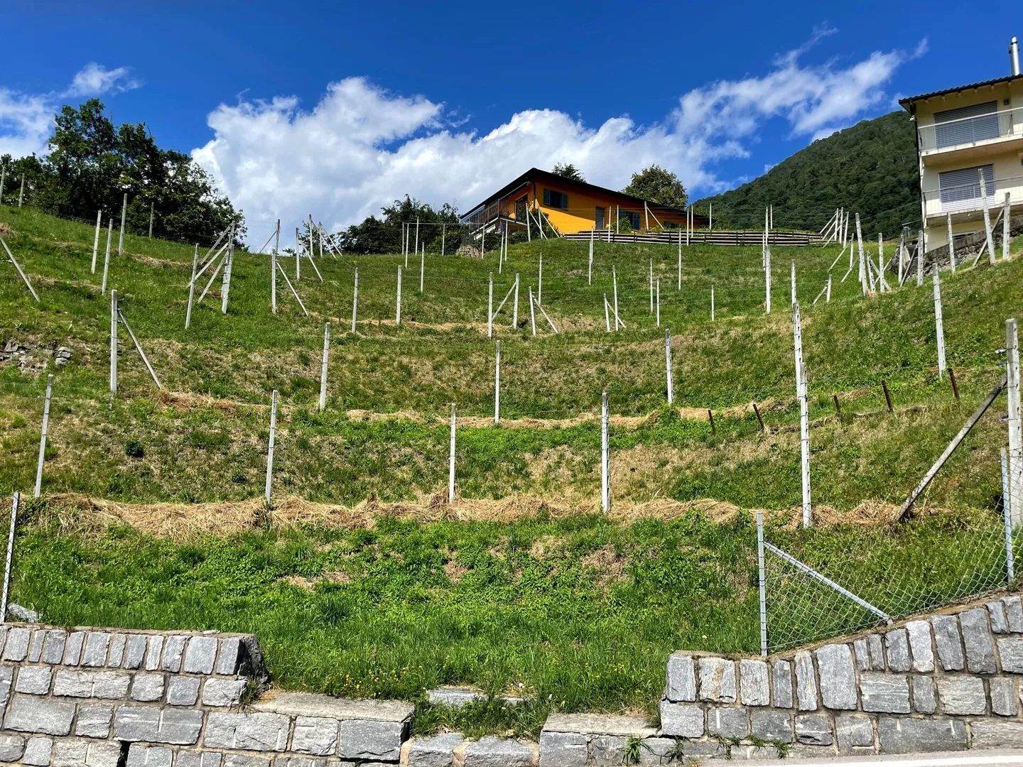 Terrain à bâtir avec vue sur le Monte Tamaro - Photo 5 sur 6