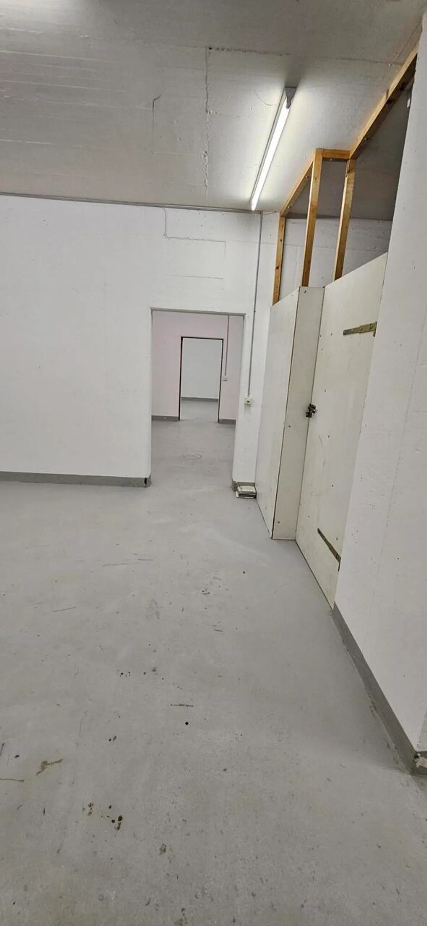 ZU VERMIETEN: Lager- oder Archivraum in Luzern - Foto 5 von 6