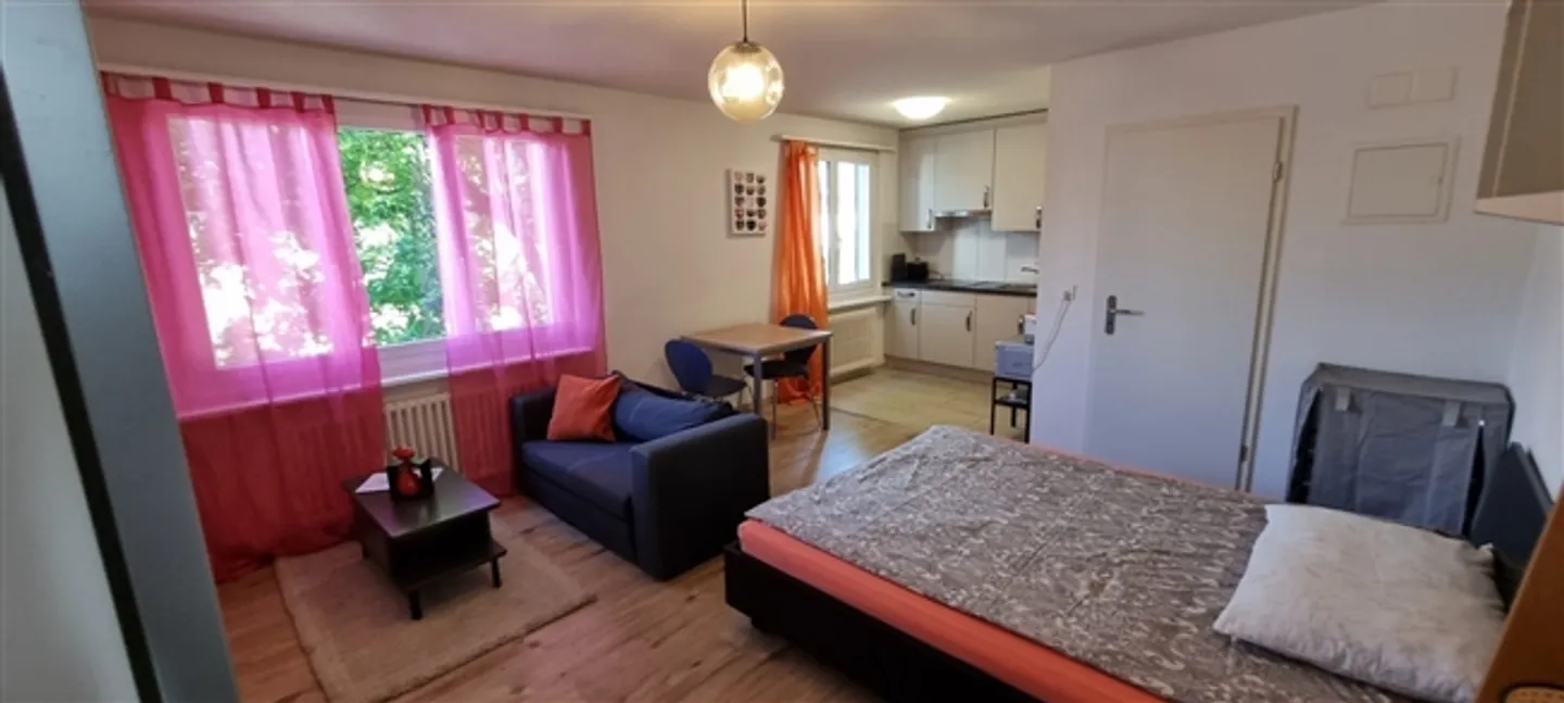 Charmante appartement 1,5 pièces au centre de Dietikon (Zurich) - Photo 2 sur 8