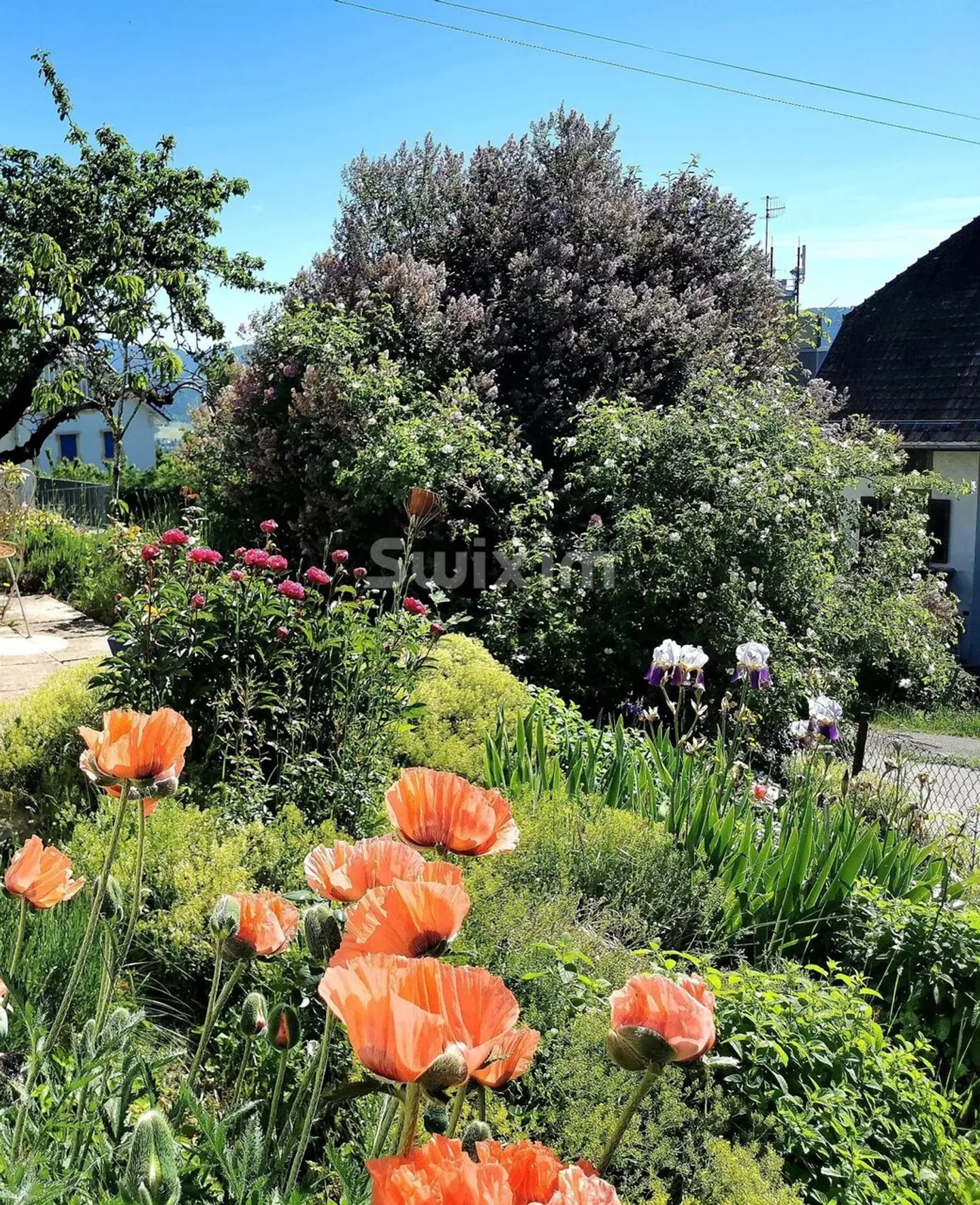 Charmante helle Villa in Val-de-Ruz | Nahe Neuchâtel - Foto 6 von 7