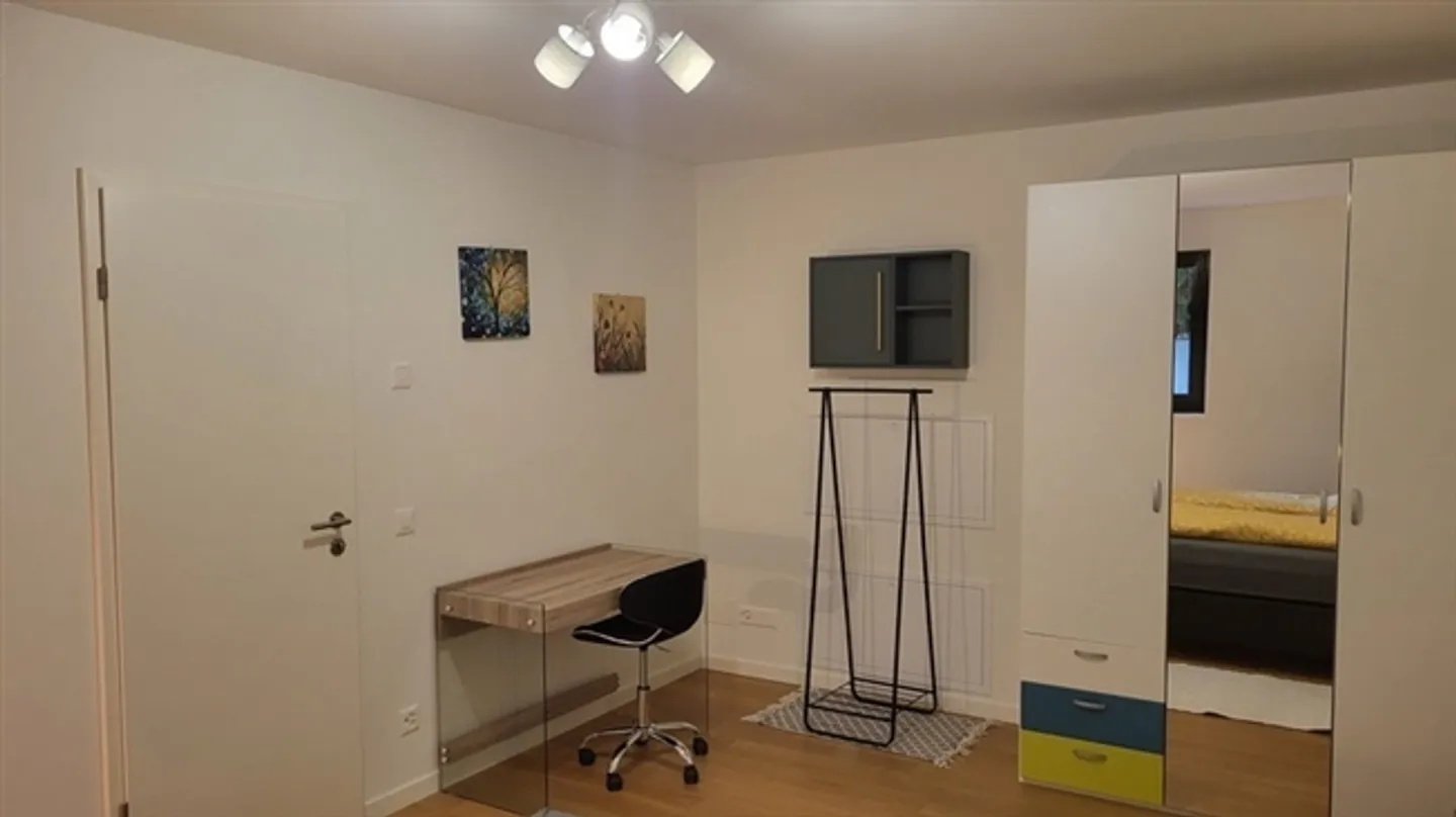 2½ ROOM APARTMENT IN MINUSIO (TI), FURNISHED - Photo 3 of 7