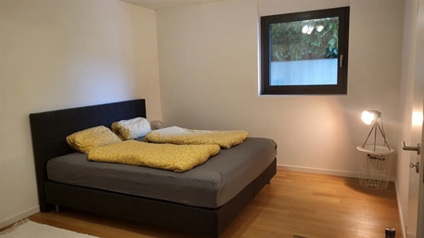 2½ ROOM APARTMENT IN MINUSIO (TI), FURNISHED - Photo 4 of 7