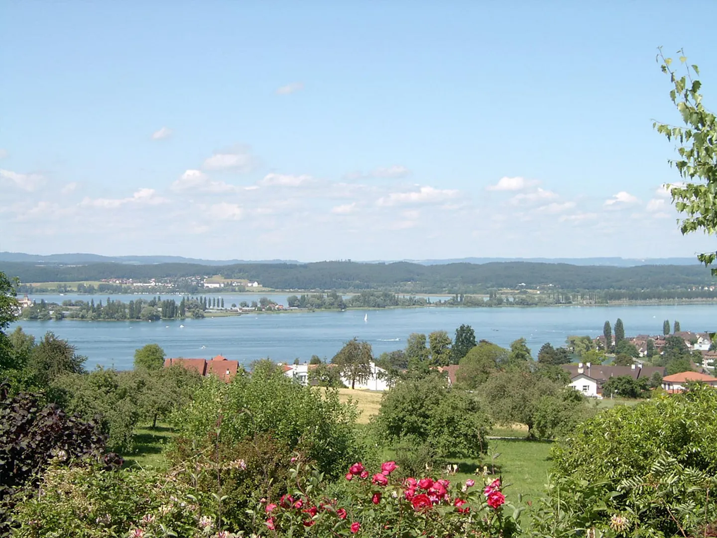 Appartement calme de 1,5 pièce avec vue imprenable sur le lac comme oasis - Photo 10 sur 10